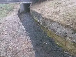 U ústí do Jílovského potoka.