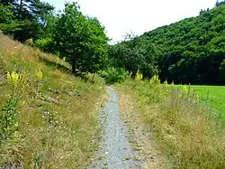 Horní lokalita přírodní památky