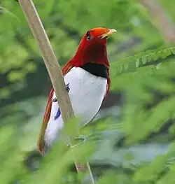 alternativní popis obrázku chybí