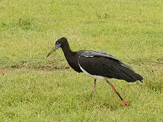 alternativní popis obrázku chybí