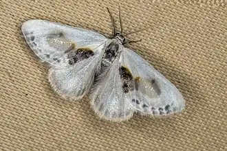 alternativní popis obrázku chybí