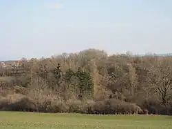 Ostrožna s hradištěm od severu