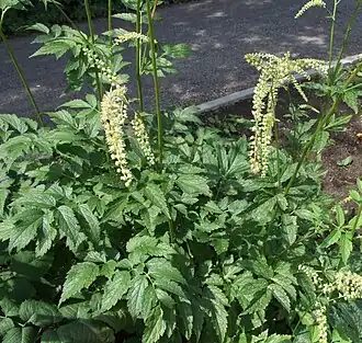 alternativní popis obrázku chybí