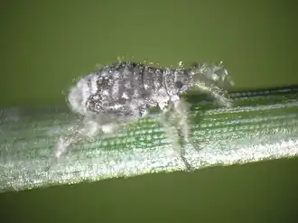 popis obrázku chybí