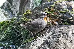 alternativní popis obrázku chybí