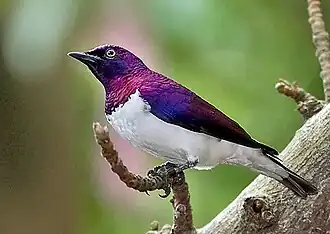 alternativní popis obrázku chybí