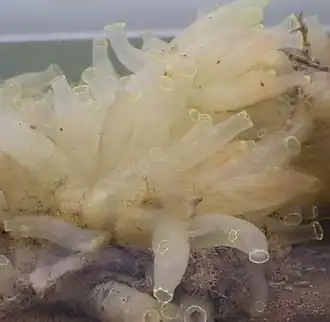 alternativní popis obrázku chybí