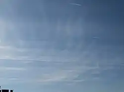 Cirrostratus_fibratus_undulatus