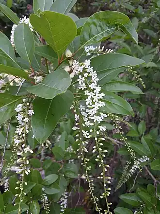 alternativní popis obrázku chybí