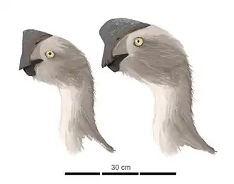 alternativní popis obrázku chybí