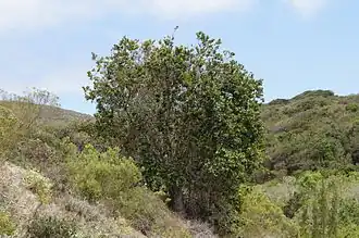 alternativní popis obrázku chybí