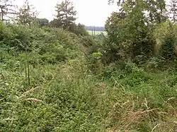 Cizkrajov, tvrz, příkop 01.jpg