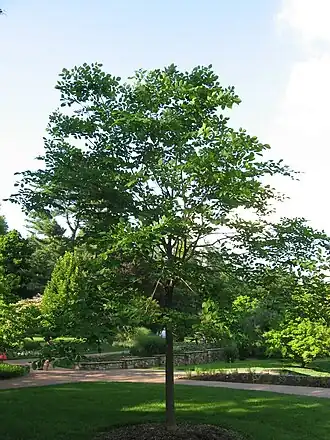 alternativní popis obrázku chybí