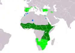 Areál rozšíření kukačky chocholaté: hnízdiště zimoviště a celoroční výskyt