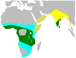 Rozšíření druhu; tmavě zelená = celoročně, žlutá = pouze v létě, modrá = pouze v zimě
