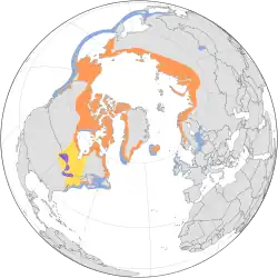 Areál rozšíření