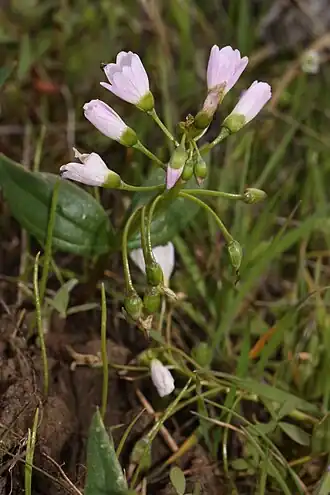 alternativní popis obrázku chybí