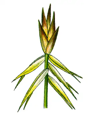 alternativní popis obrázku chybí