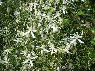 alternativní popis obrázku chybí