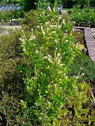 alternativní popis obrázku chybí