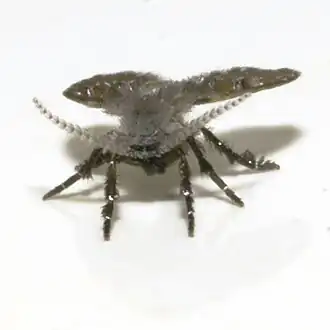 alternativní popis obrázku chybí