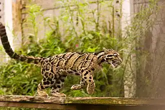 alternativní popis obrázku chybí