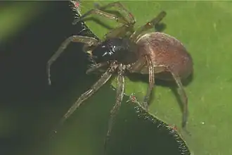 alternativní popis obrázku chybí