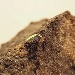 Krystal kobaltinu z lokality Varuträsk ve Švédsku (velikost krystalu 3 mm)