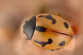 alternativní popis obrázku chybí