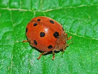 alternativní popis obrázku chybí