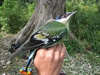 alternativní popis obrázku chybí