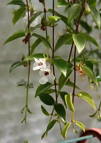 alternativní popis obrázku chybí