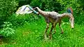 Coelophysis
