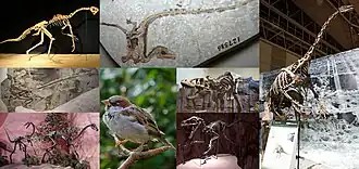 alternativní popis obrázku chybí