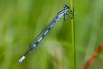 alternativní popis obrázku chybí