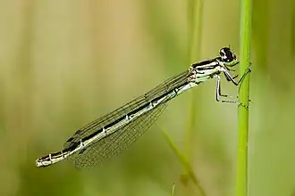 alternativní popis obrázku chybí