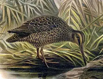 alternativní popis obrázku chybí