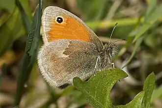 alternativní popis obrázku chybí