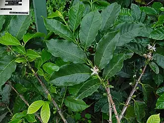 alternativní popis obrázku chybí