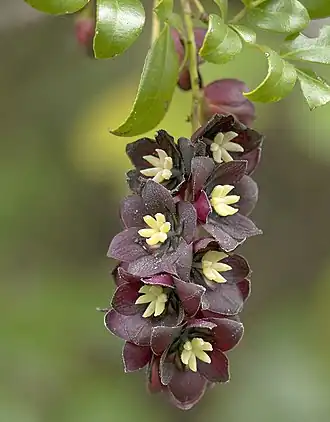 alternativní popis obrázku chybí