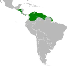 Areál rozšíření