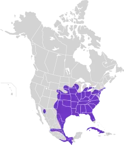 Areál rozšíření