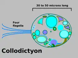 popis obrázku chybí