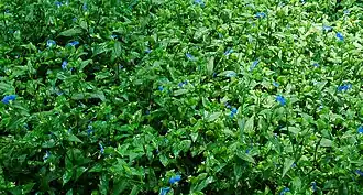 alternativní popis obrázku chybí