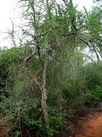 alternativní popis obrázku chybí