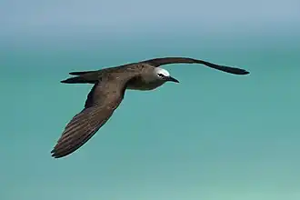 alternativní popis obrázku chybí