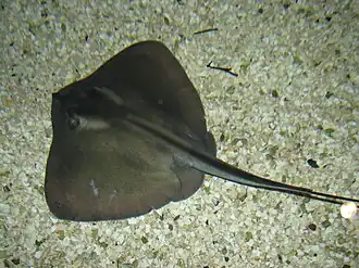 alternativní popis obrázku chybí