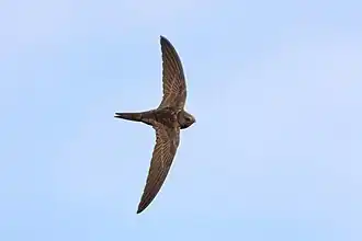 alternativní popis obrázku chybí