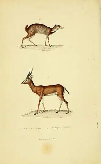 alternativní popis obrázku chybí