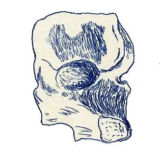 alternativní popis obrázku chybí